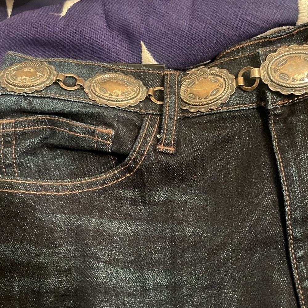 Vintage Concho Coin Link Belt - Gold Metal - Picture 5 of 8